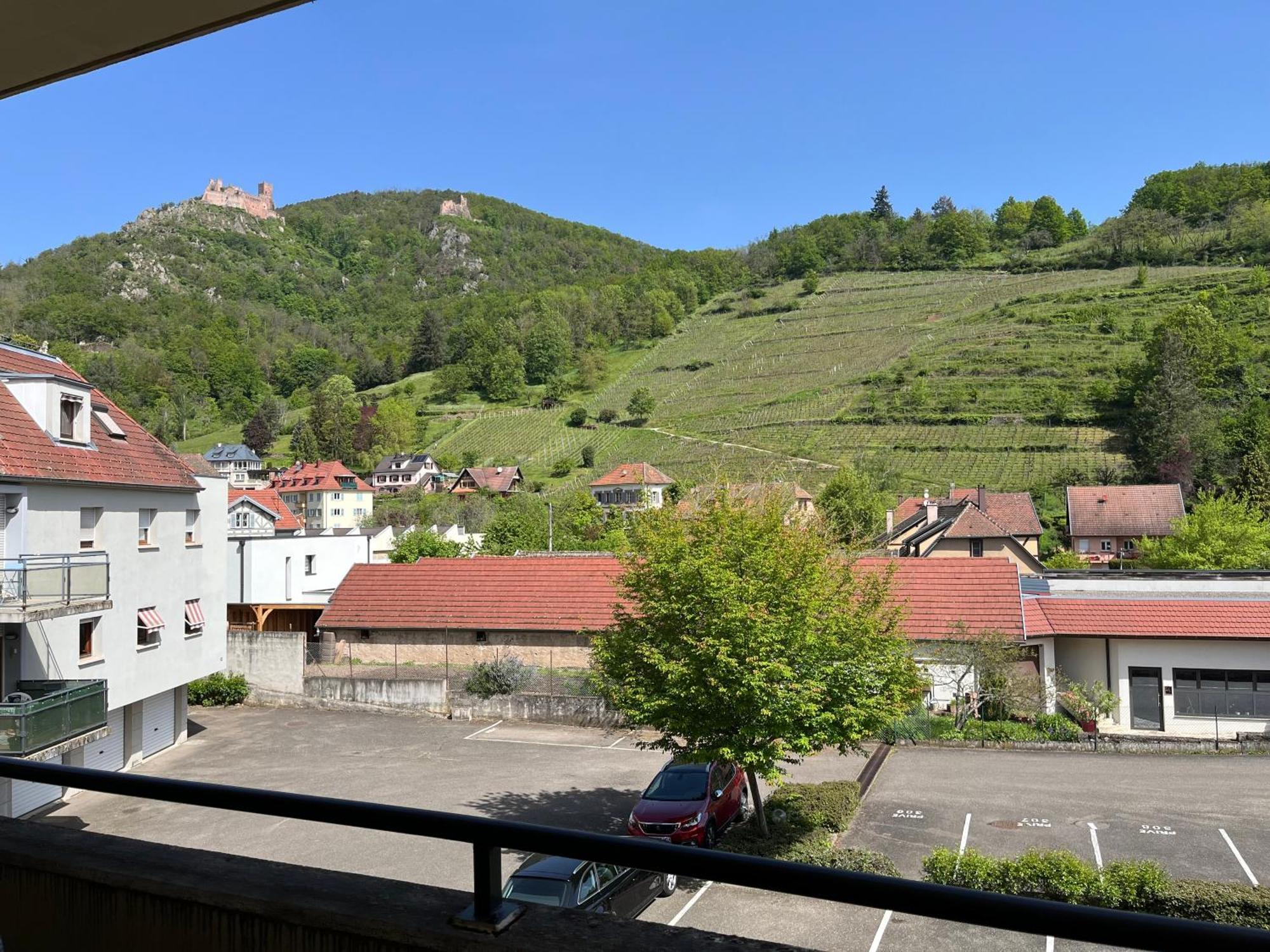 L'Aiglon Apartment Ribeauville  Bagian luar foto