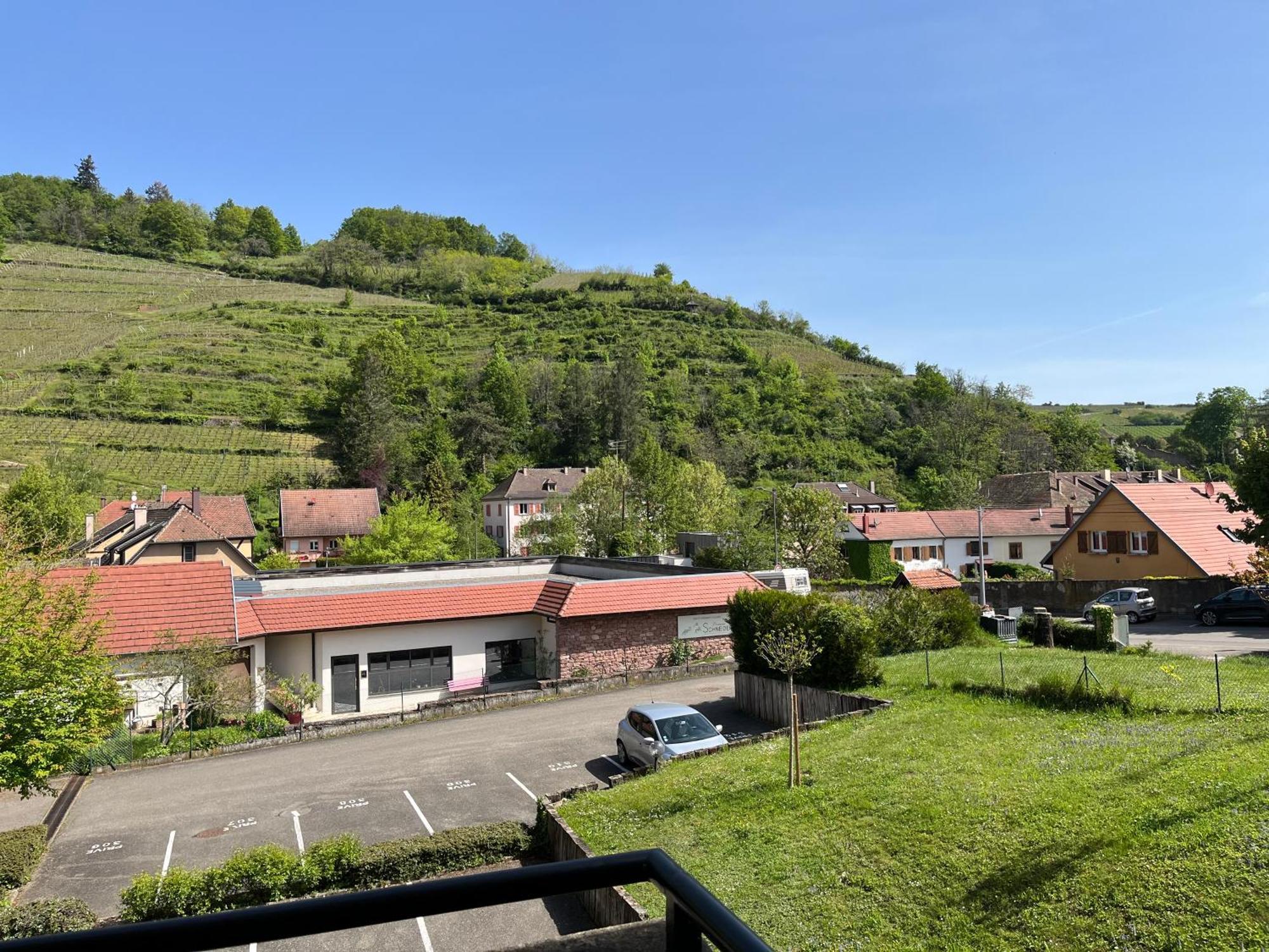 L'Aiglon Apartment Ribeauville  Bagian luar foto